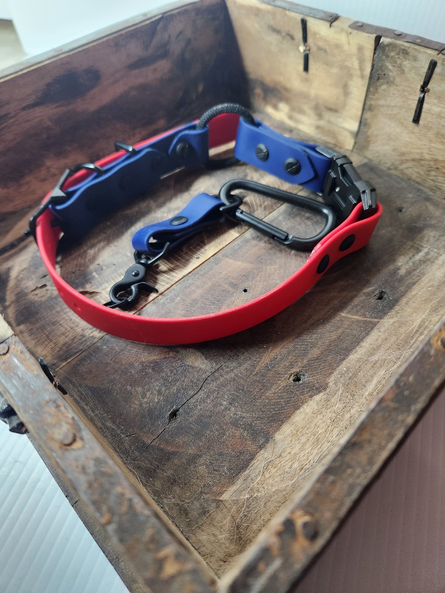 1" Multi Buckle Bungee E-Collar Strap