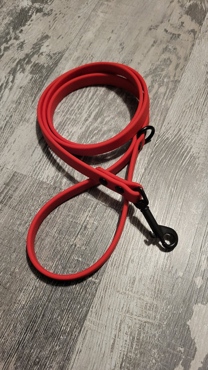 Heavy Duty Leash