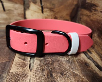 Buckle Collar