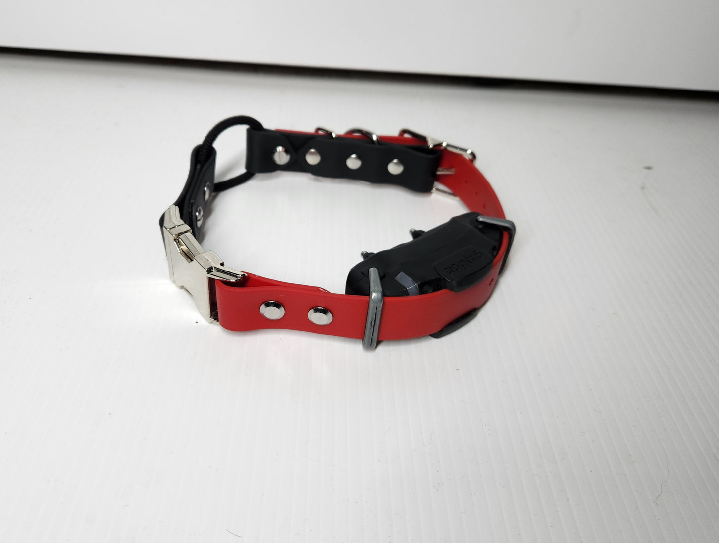 1" Multi Buckle Bungee E-Collar Strap