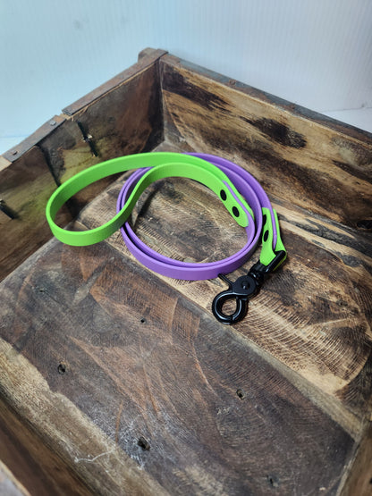 Standard Leash - 2-Tone