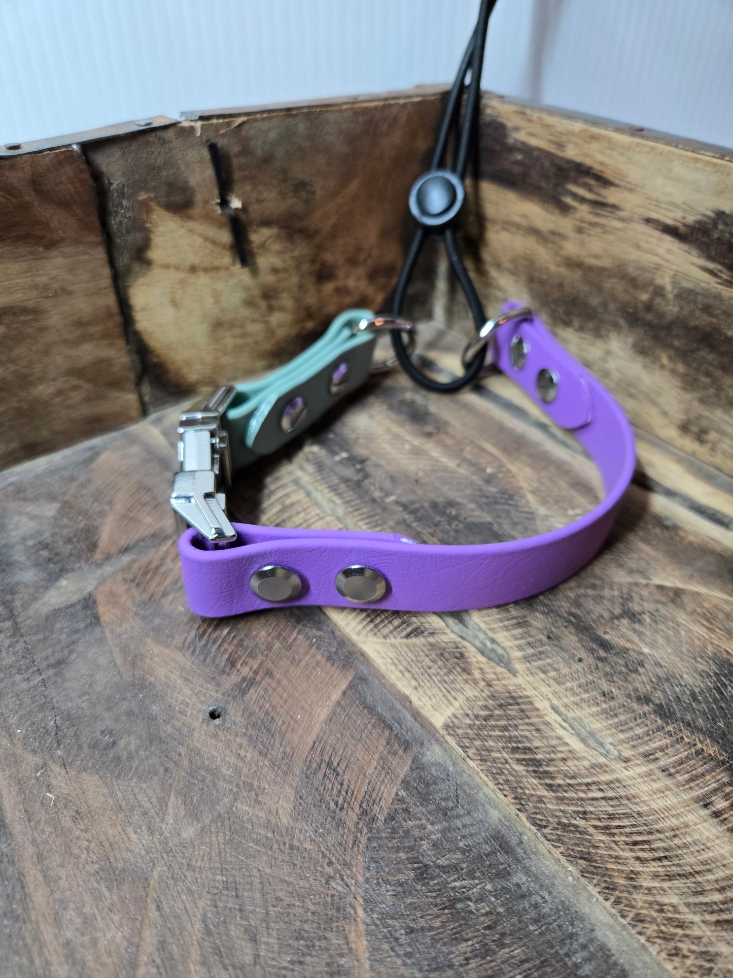 1" Bungee E-Collar Strap