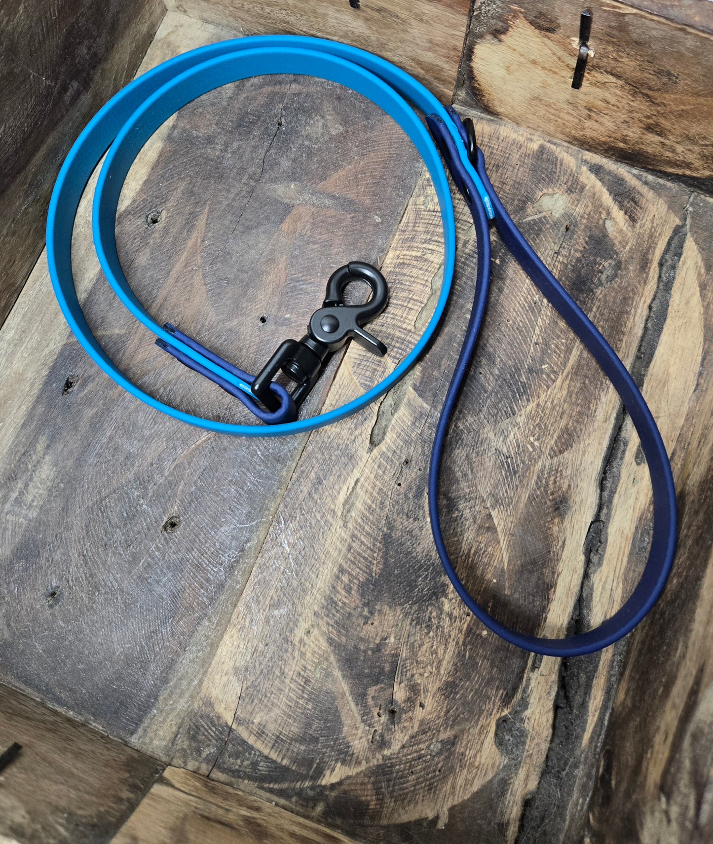 Standard Leash - 2-Tone