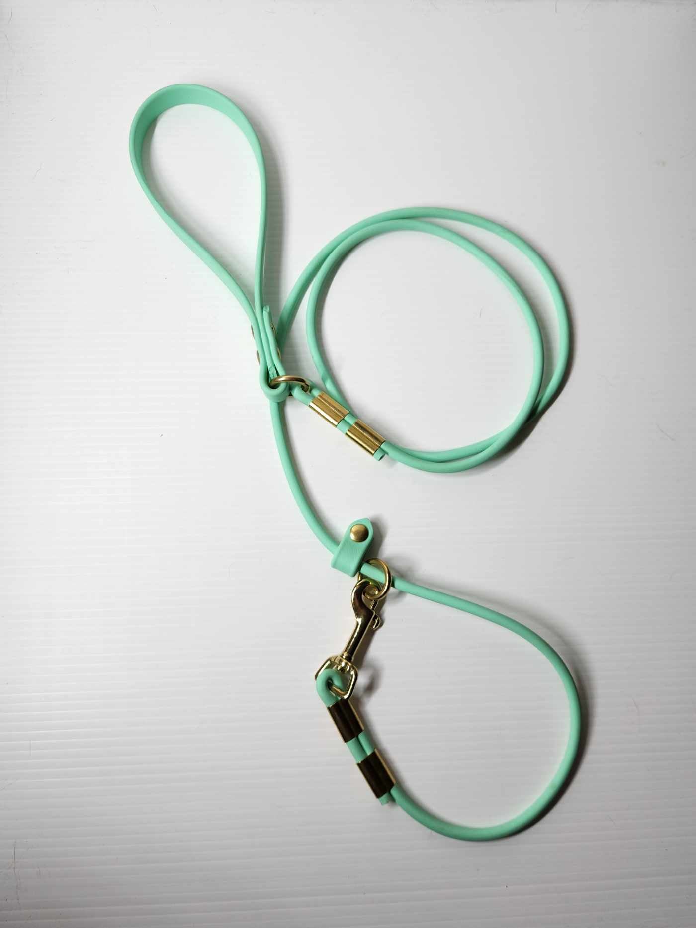 Rolled Convertible Slip Lead image 1