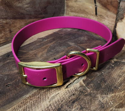 Buckle Collar