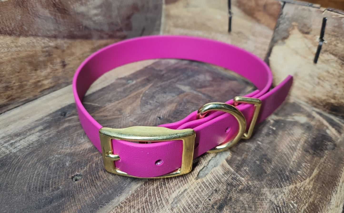 Buckle Collar