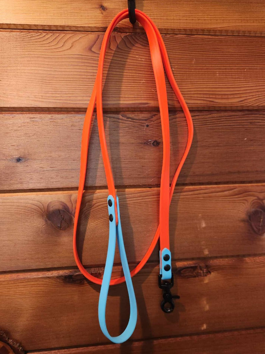 5'Standard Leash - 2-Tone image 0